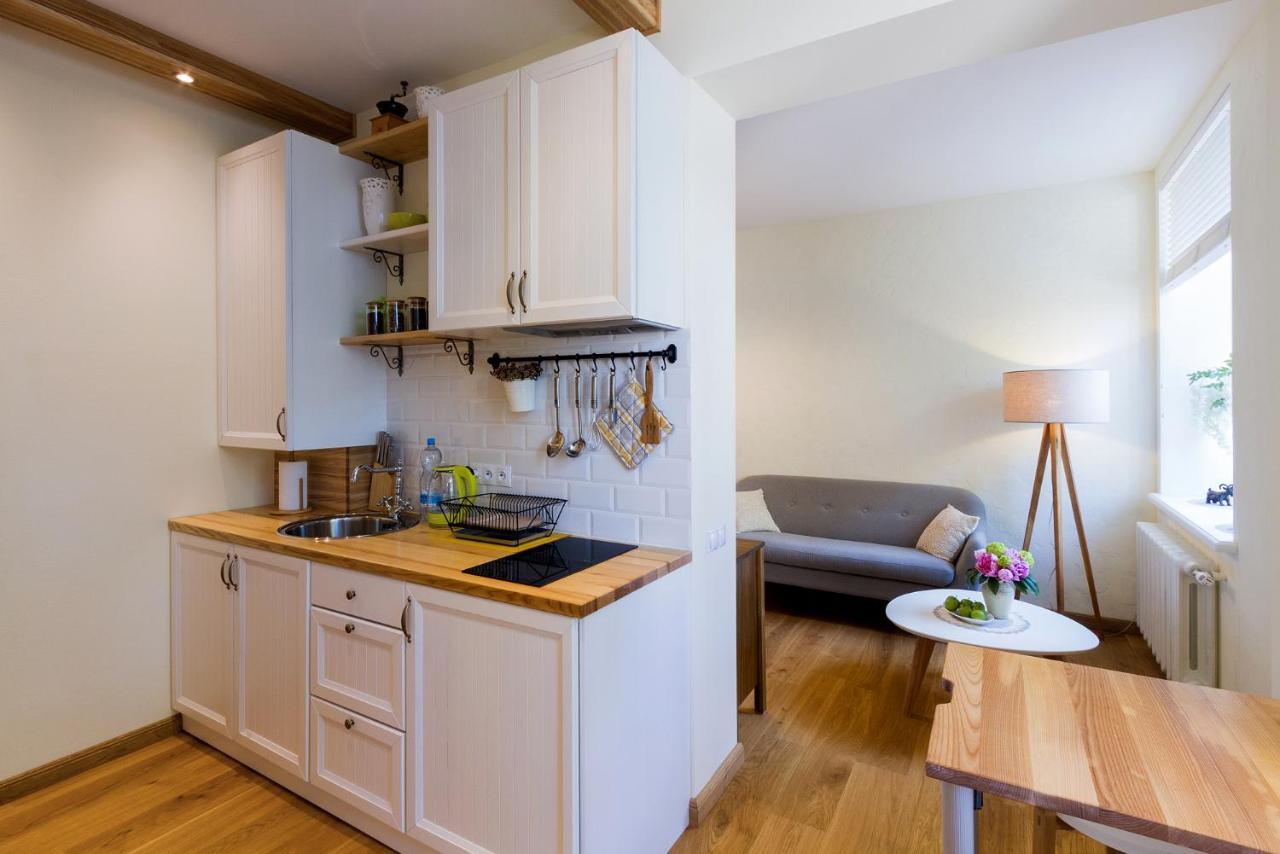 Apartmán Dzirnavu 92 Studio Riga Exteriér fotografie